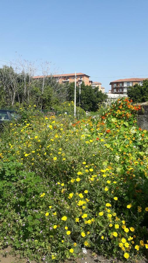 Carrubo - Giardino In Citta Villa CTA Exterior photo